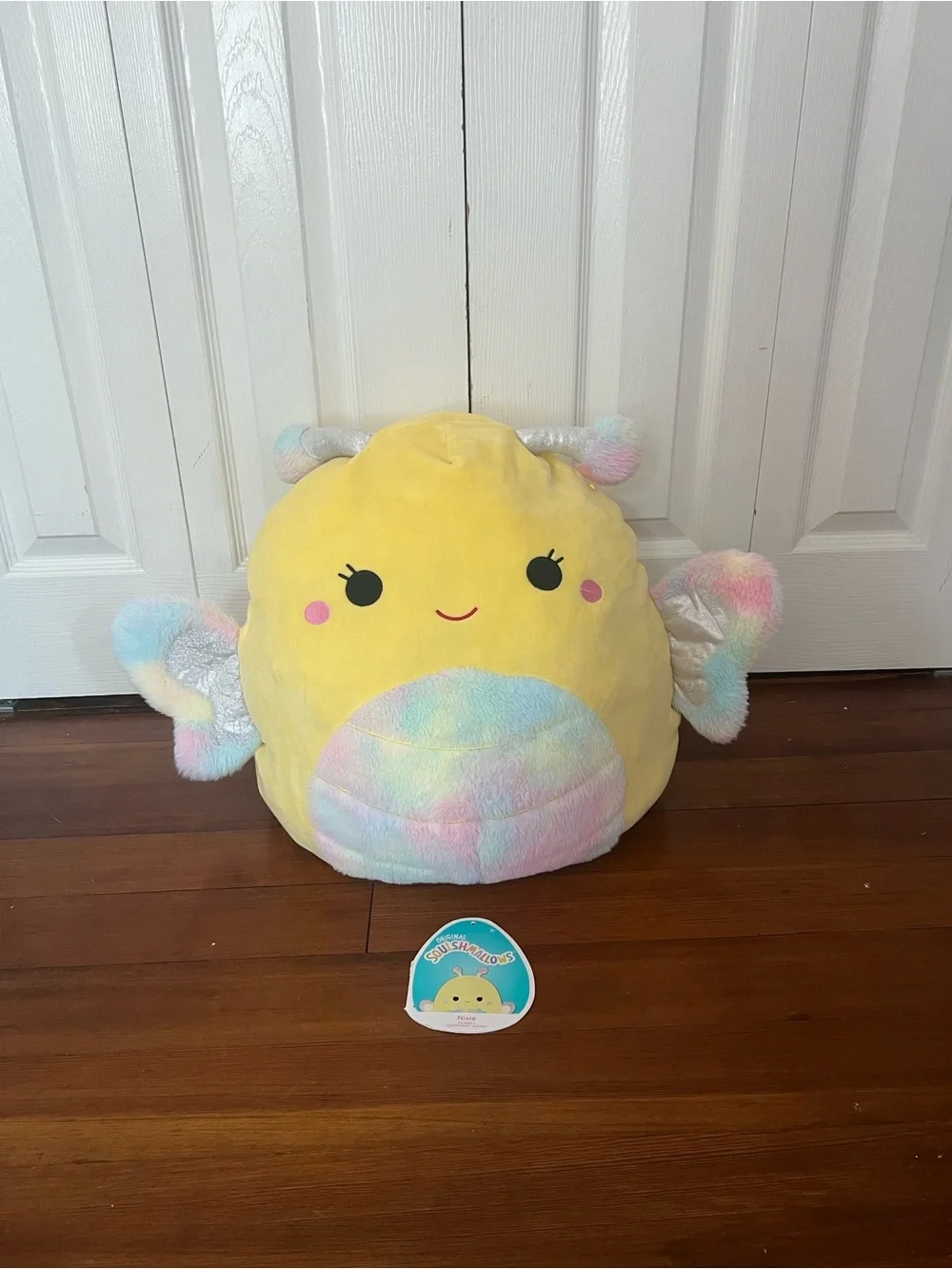 Two Squishmallows Nixie and Rosie